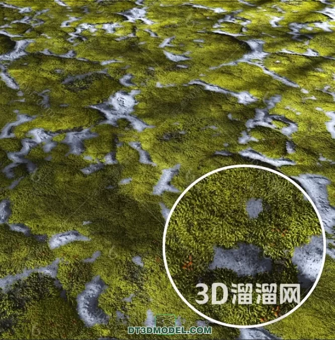 MATERIAL – TEXTURES – GRASS – 005