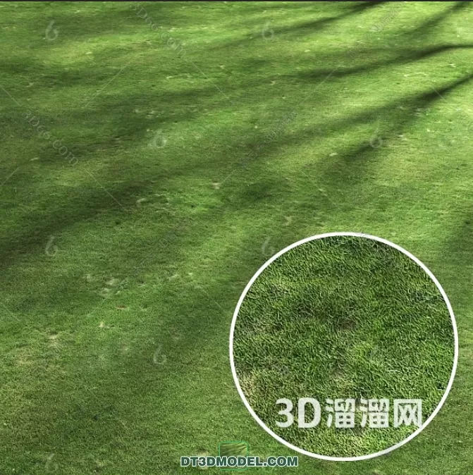 MATERIAL – TEXTURES – GRASS – 006