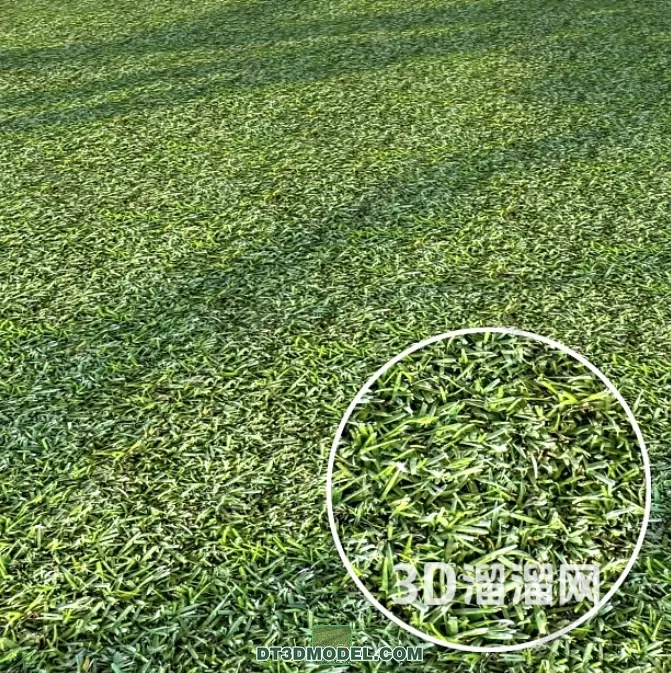 MATERIAL – TEXTURES – GRASS – 007