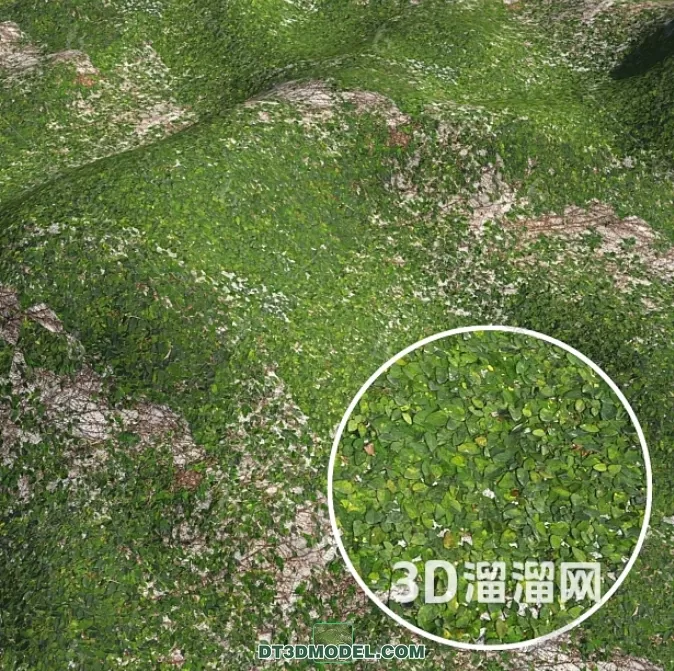 MATERIAL – TEXTURES – GRASS – 008