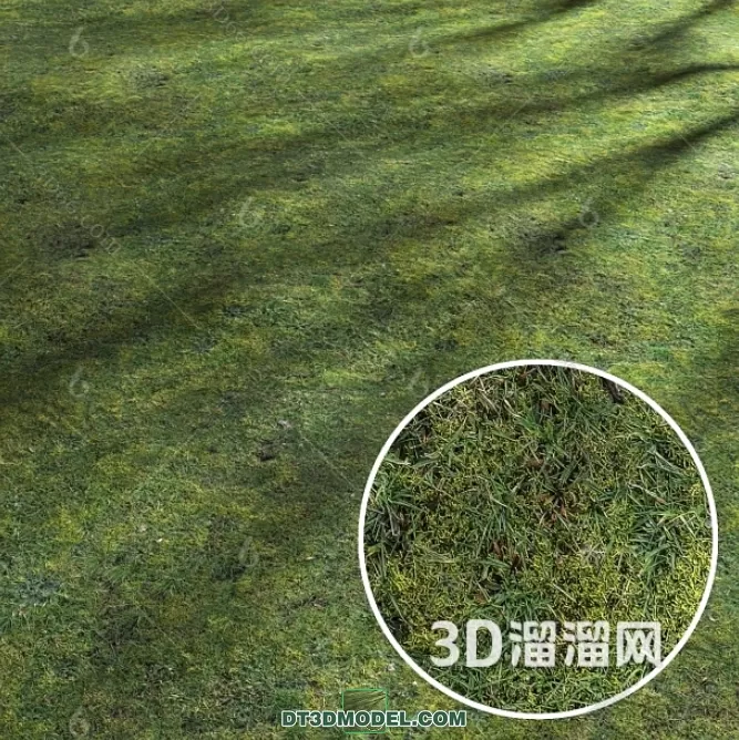 MATERIAL – TEXTURES – GRASS – 009