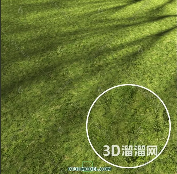 MATERIAL – TEXTURES – GRASS – 010