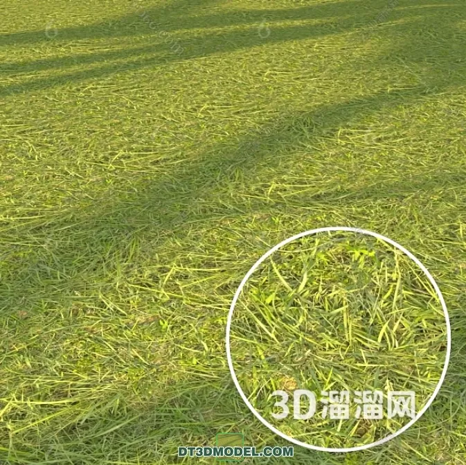 MATERIAL – TEXTURES – GRASS – 011