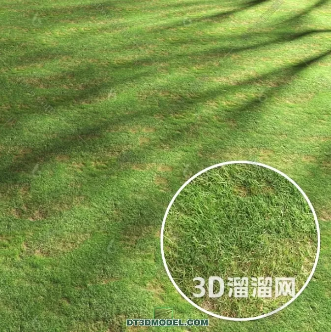 MATERIAL – TEXTURES – GRASS – 013