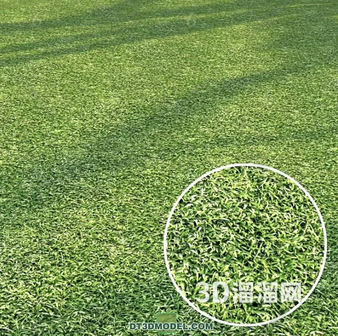 MATERIAL – TEXTURES – GRASS – 014