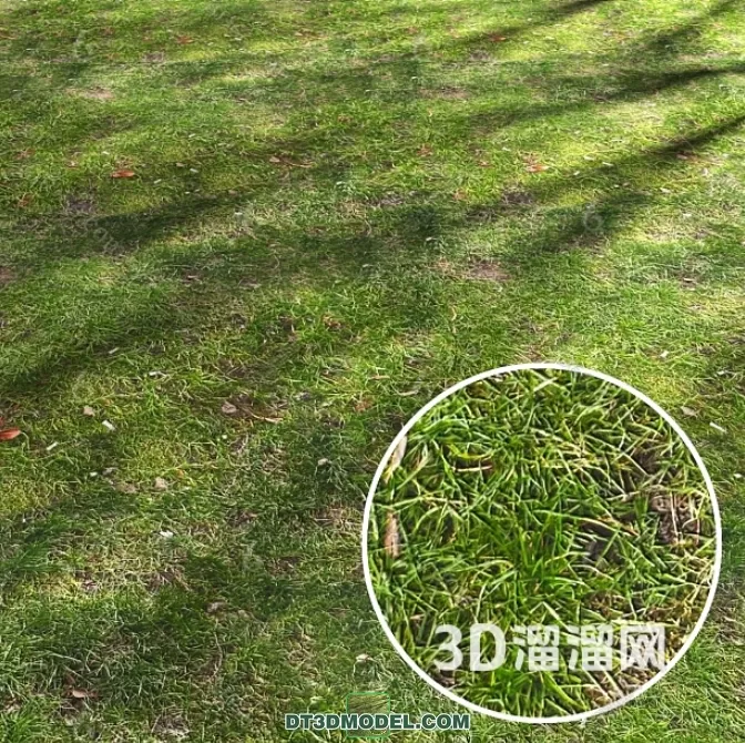 MATERIAL – TEXTURES – GRASS – 016