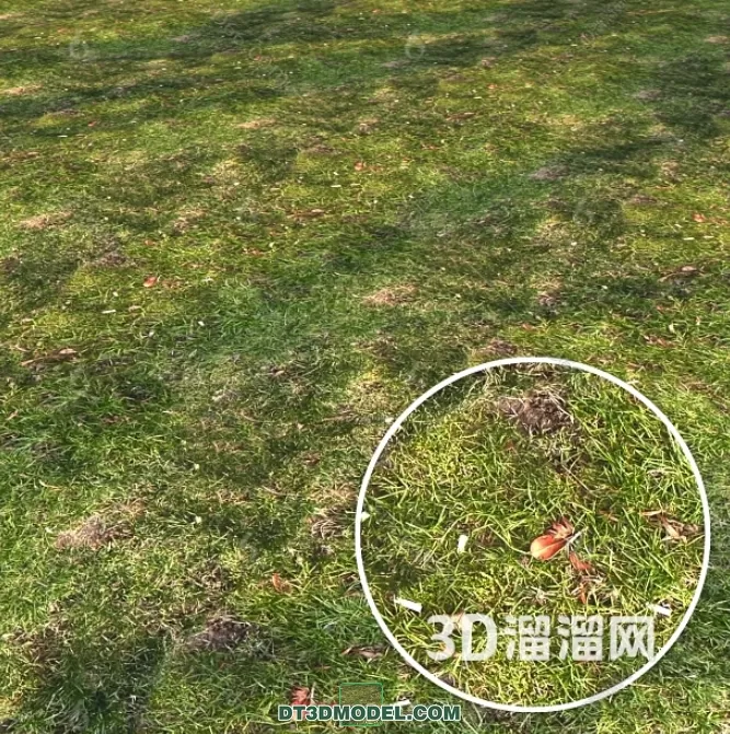 MATERIAL – TEXTURES – GRASS – 017