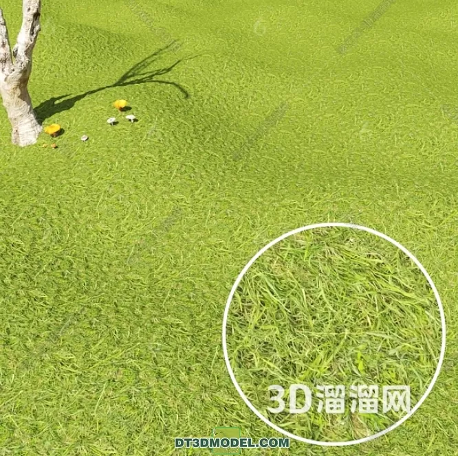 MATERIAL – TEXTURES – GRASS – 018