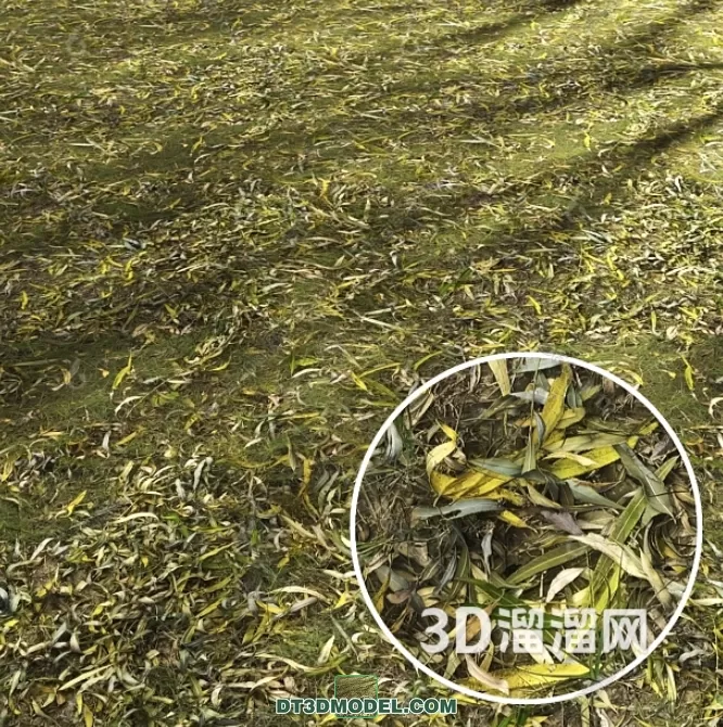 MATERIAL – TEXTURES – GRASS – 019