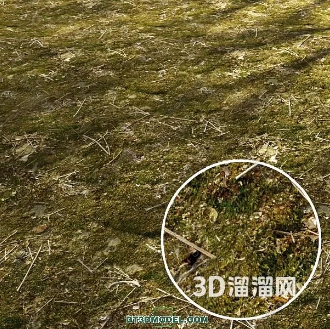 MATERIAL – TEXTURES – GRASS – 021