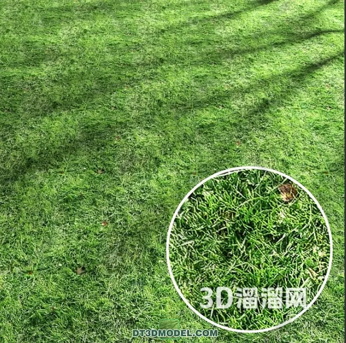 MATERIAL – TEXTURES – GRASS – 023