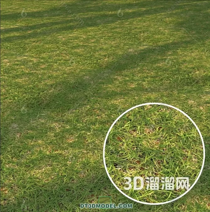 MATERIAL – TEXTURES – GRASS – 024