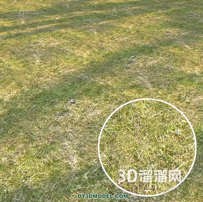 MATERIAL – TEXTURES – GRASS – 029