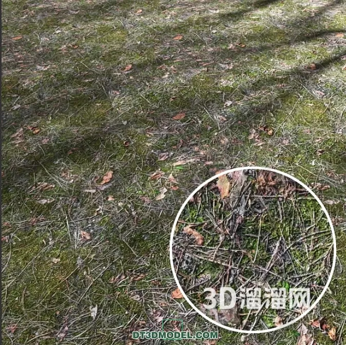 MATERIAL – TEXTURES – GRASS – 030