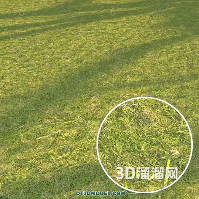 MATERIAL – TEXTURES – GRASS – 031