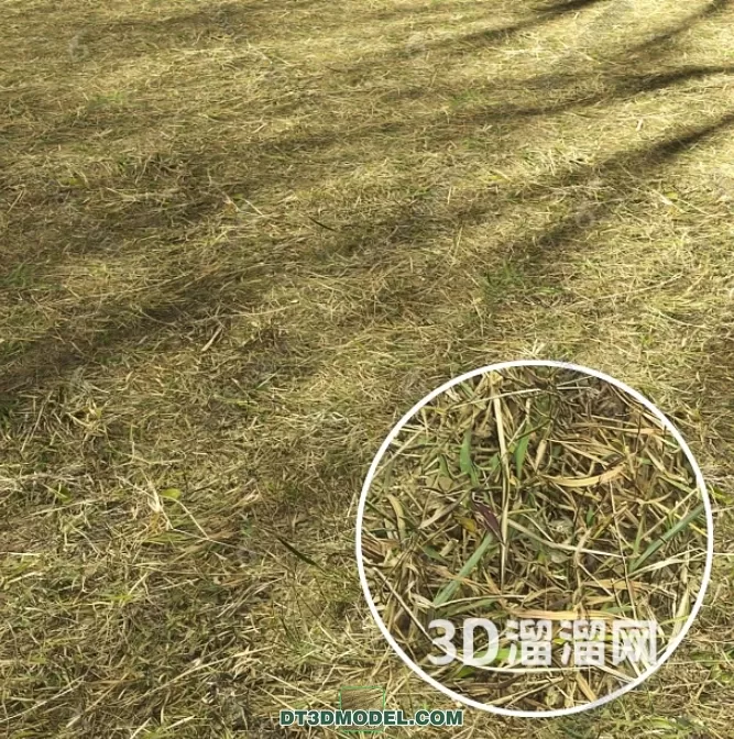 MATERIAL – TEXTURES – GRASS – 032