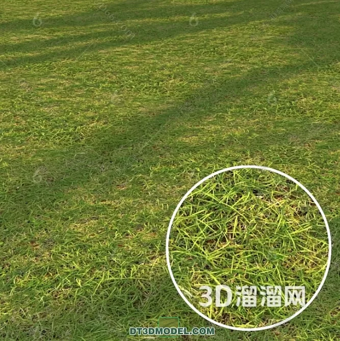 MATERIAL – TEXTURES – GRASS – 033