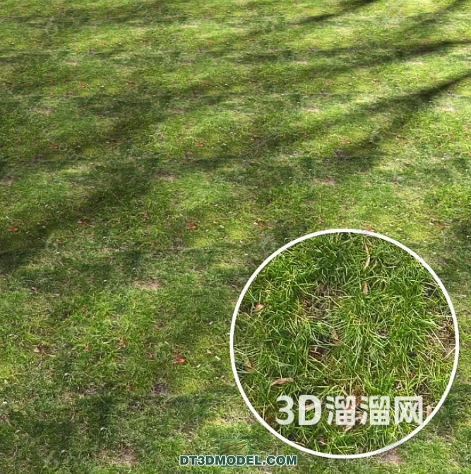 MATERIAL – TEXTURES – GRASS – 034