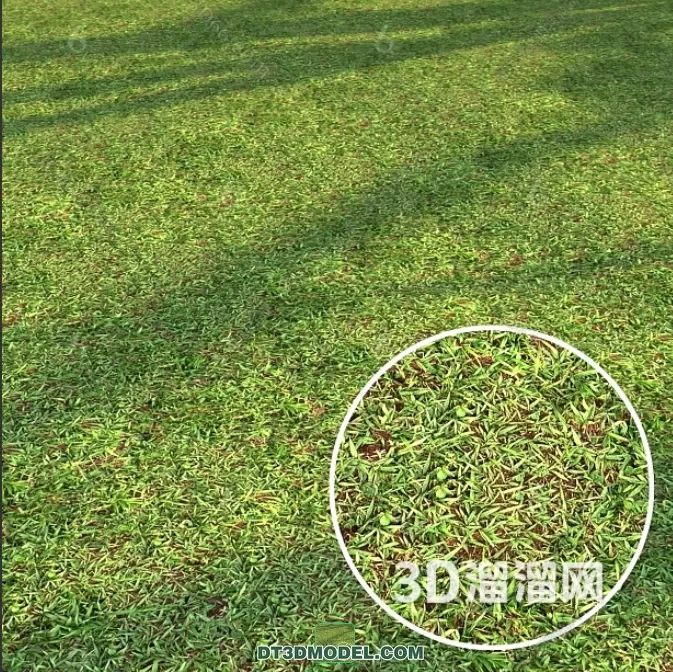 MATERIAL – TEXTURES – GRASS – 035