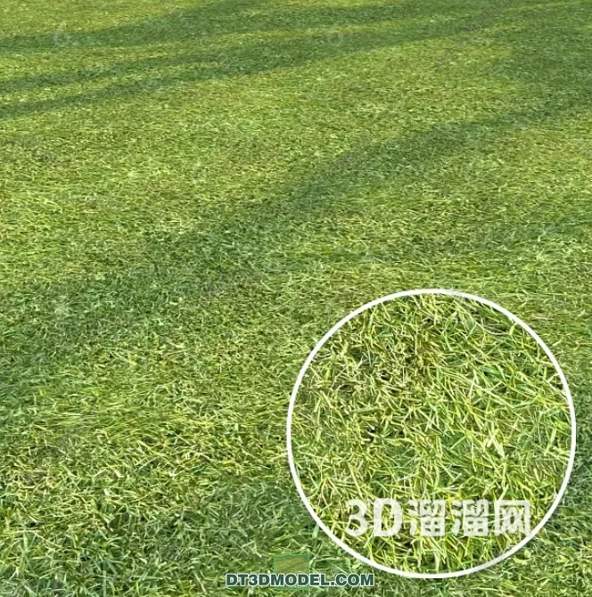 MATERIAL – TEXTURES – GRASS – 040