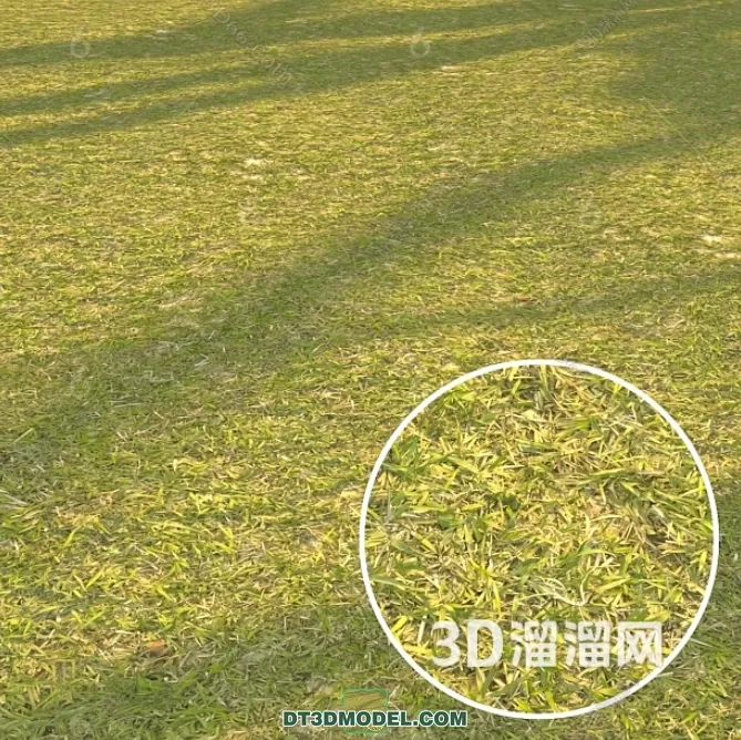 MATERIAL – TEXTURES – GRASS – 041