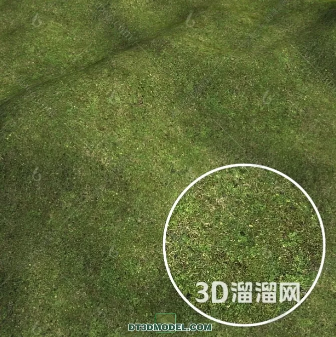 MATERIAL – TEXTURES – GRASS – 043