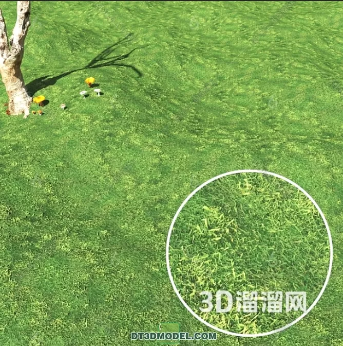 MATERIAL – TEXTURES – GRASS – 044