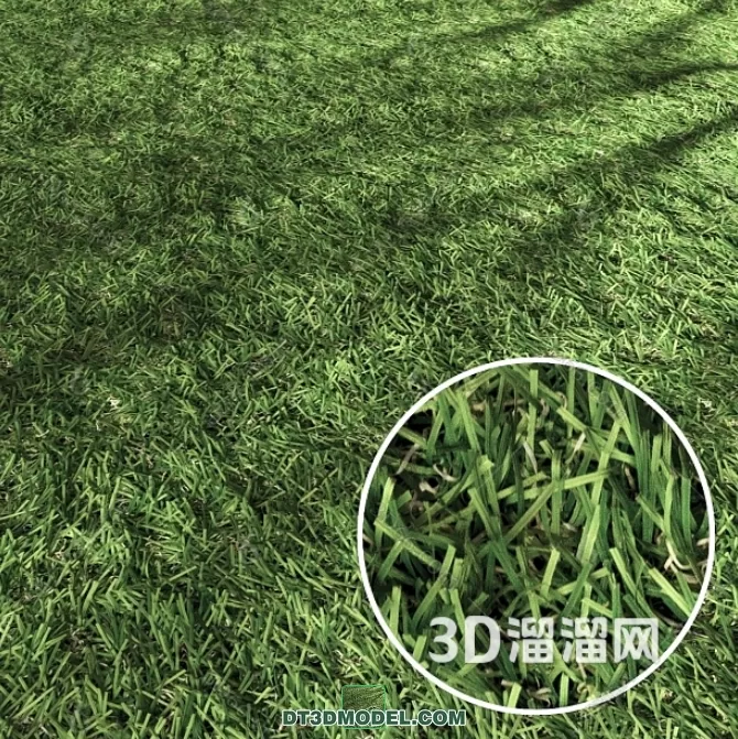MATERIAL – TEXTURES – GRASS – 045