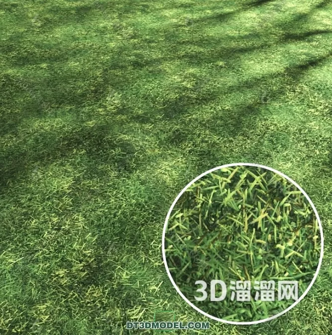 MATERIAL – TEXTURES – GRASS – 047