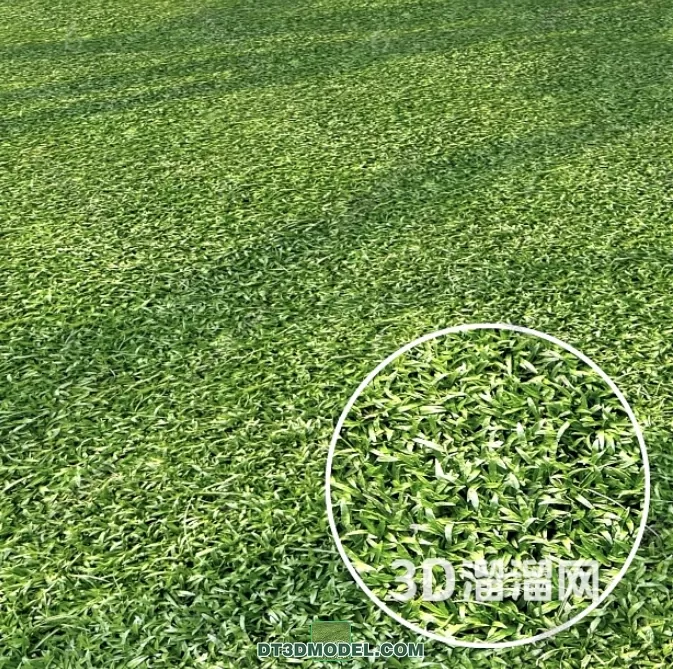 MATERIAL – TEXTURES – GRASS – 048