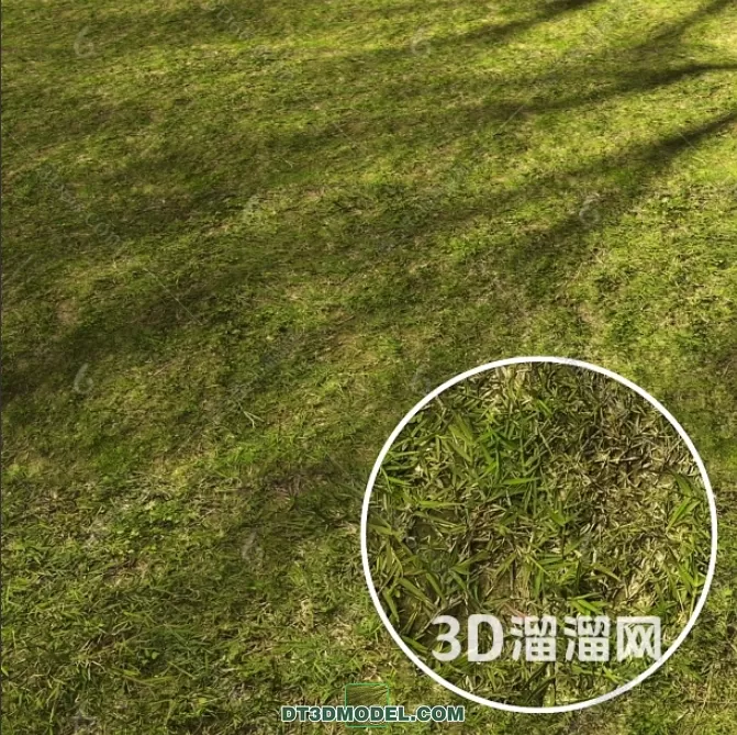 MATERIAL – TEXTURES – GRASS – 049