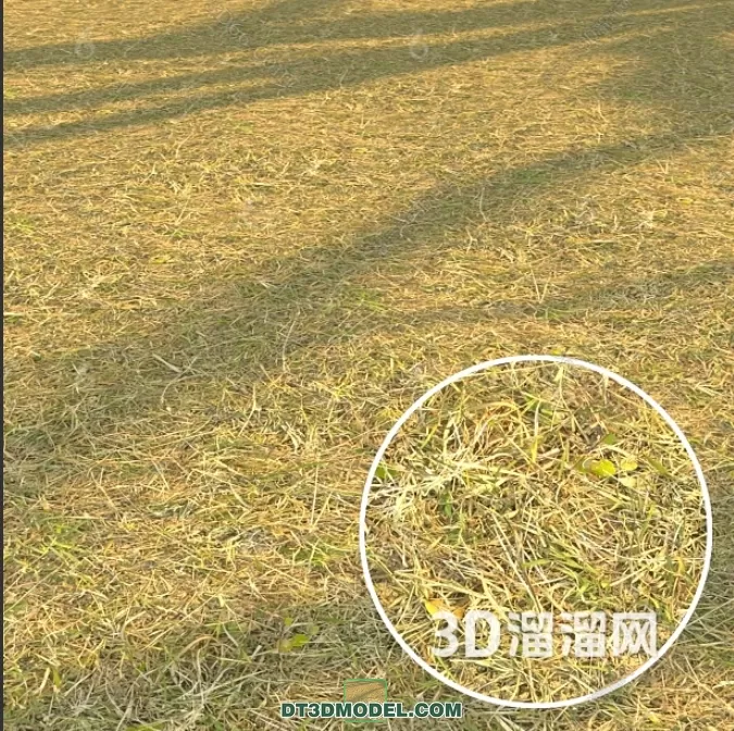 MATERIAL – TEXTURES – GRASS – 050