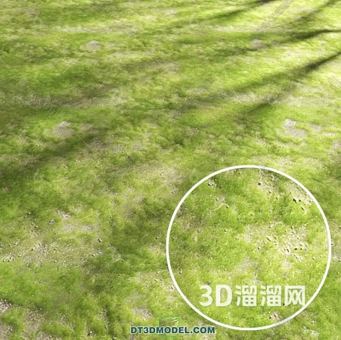 MATERIAL – TEXTURES – GRASS – 053