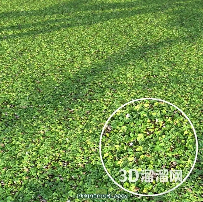 MATERIAL – TEXTURES – GRASS – 054