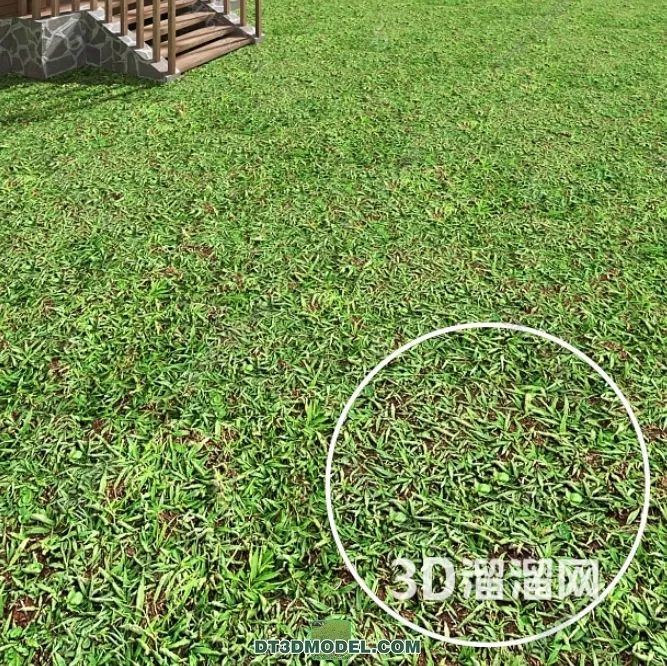 MATERIAL – TEXTURES – GRASS – 058