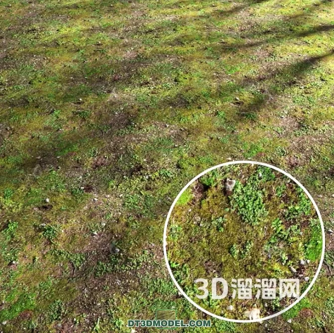 MATERIAL – TEXTURES – GRASS – 059