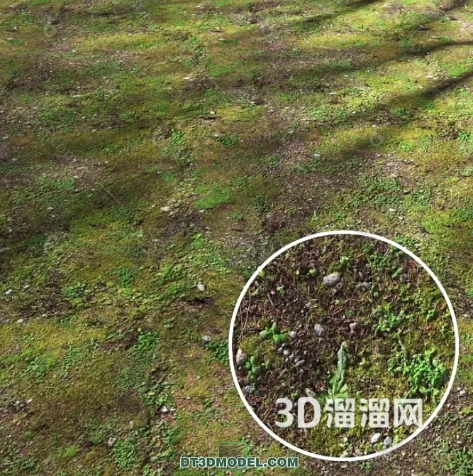 MATERIAL – TEXTURES – GRASS – 060