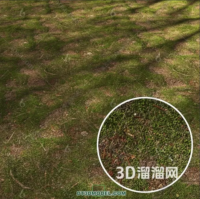 MATERIAL – TEXTURES – GRASS – 061