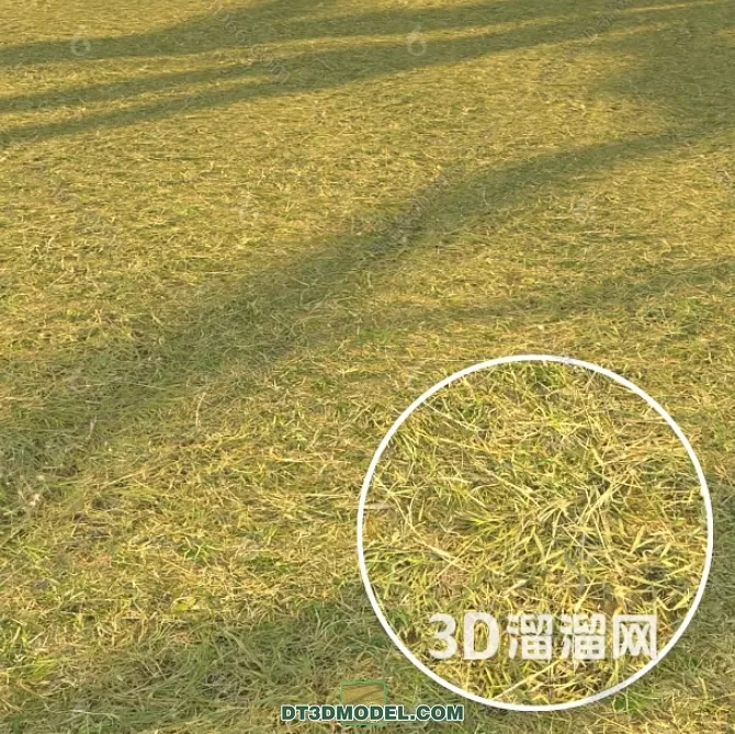 3D MODELS FREE DOWNLOAD