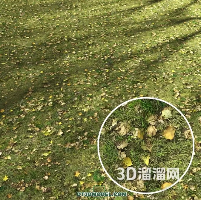 3D MODELS FREE DOWNLOAD