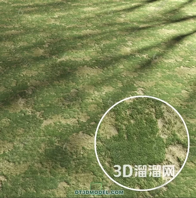 MATERIAL – TEXTURES – GRASS – 065