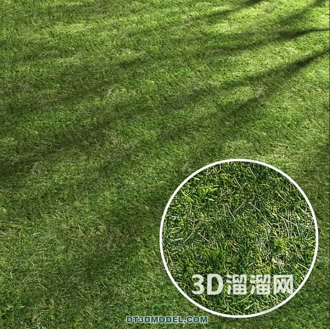 MATERIAL – TEXTURES – GRASS – 066