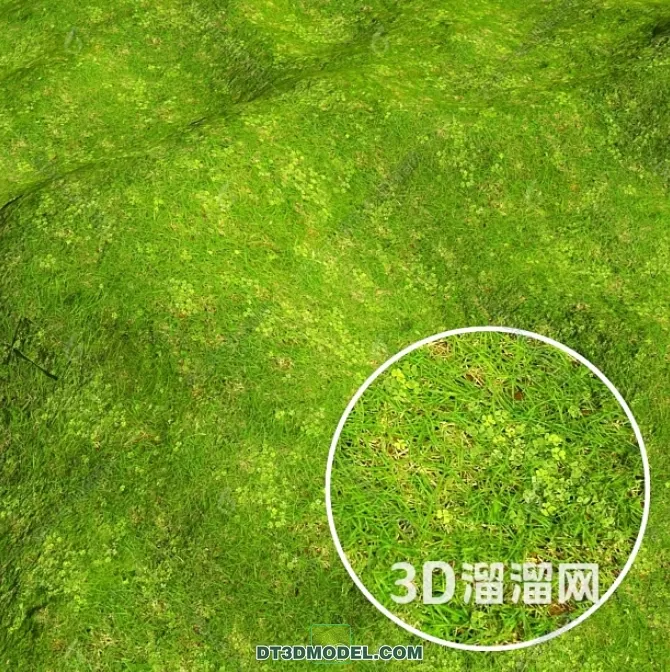 MATERIAL – TEXTURES – GRASS – 067