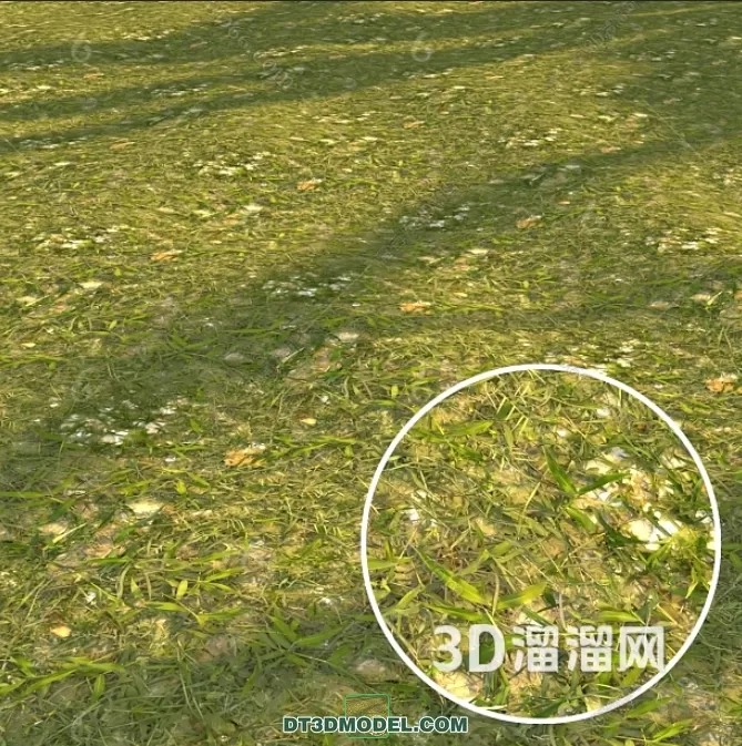 MATERIAL – TEXTURES – GRASS – 068