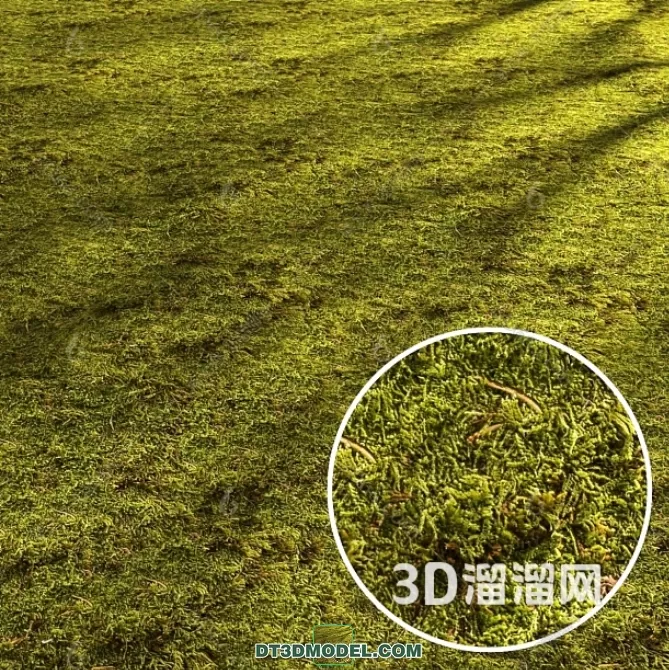 MATERIAL – TEXTURES – GRASS – 069