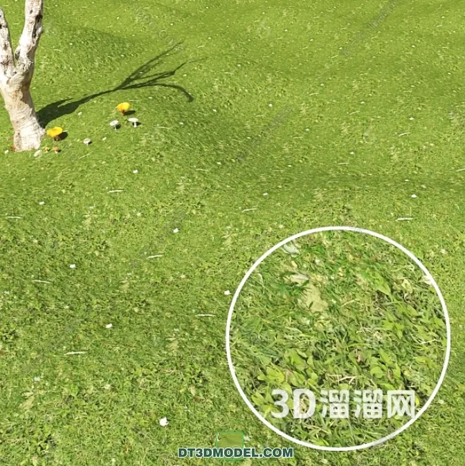 MATERIAL – TEXTURES – GRASS – 071