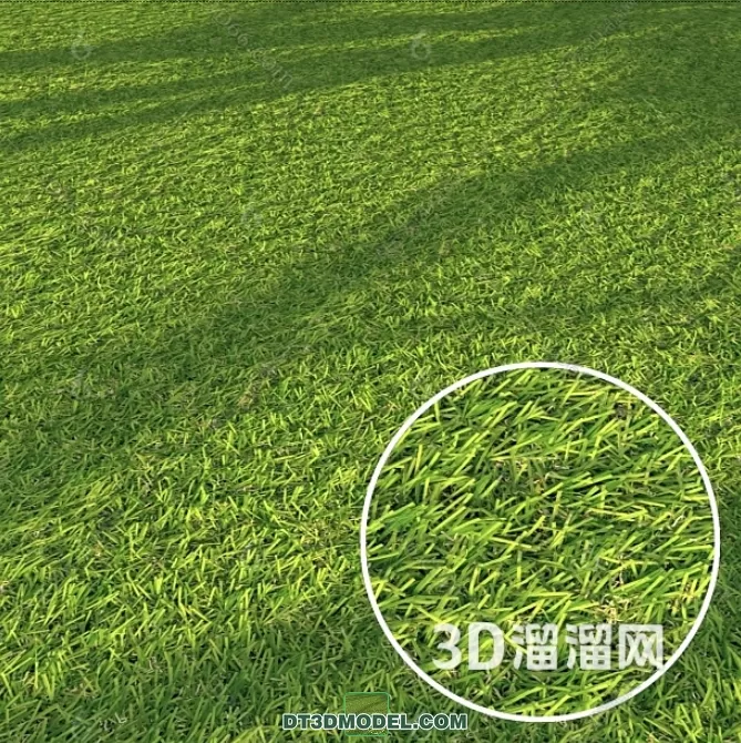 MATERIAL – TEXTURES – GRASS – 073