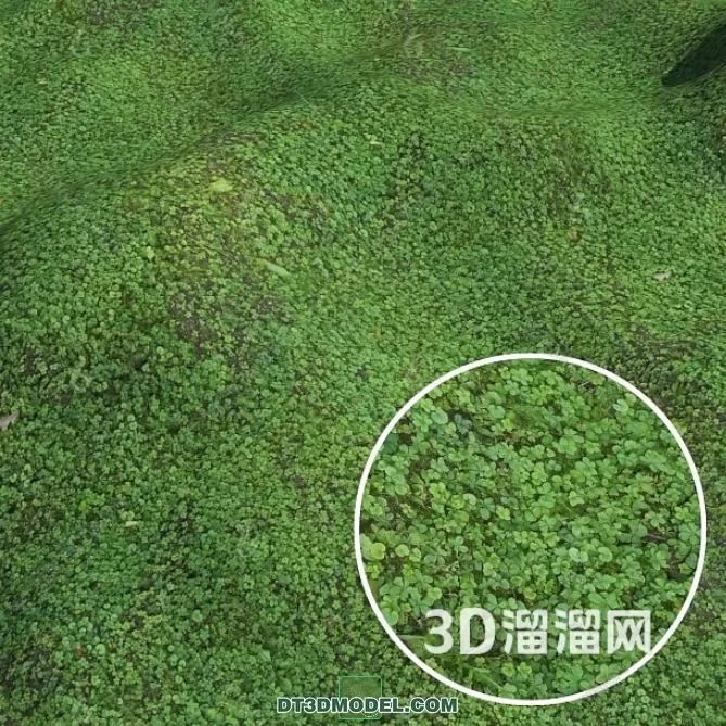 3D MODELS FREE DOWNLOAD