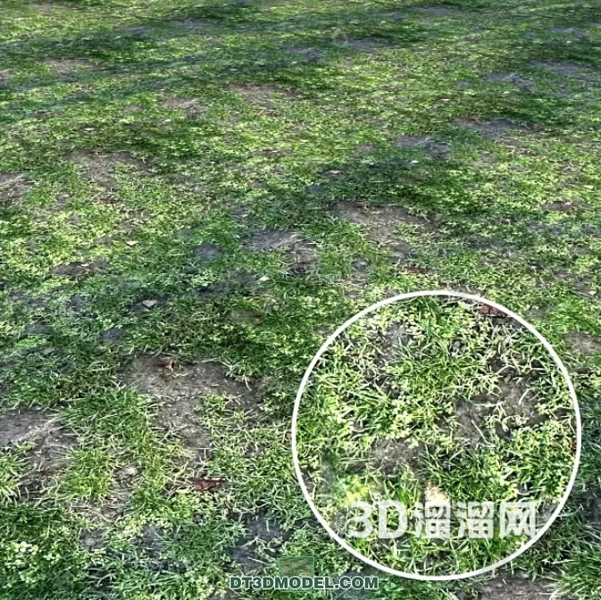 MATERIAL – TEXTURES – GRASS – 079