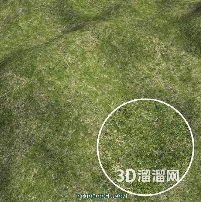 MATERIAL – TEXTURES – GRASS – 083